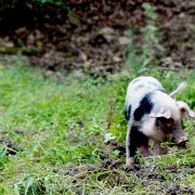 IMG_8199