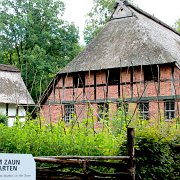 IMG_8203