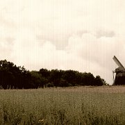 IMG_8212