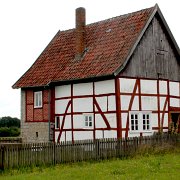 IMG_8217