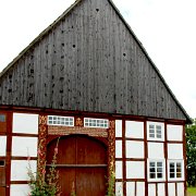 IMG_8220