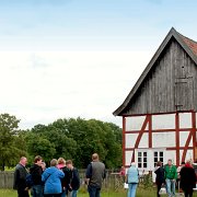 IMG_8225
