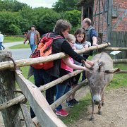 IMG_8278