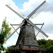 IMG_8282