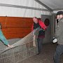 IMG_7602