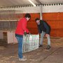 IMG_7809