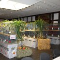 IMG_3967