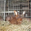 IMG_4081