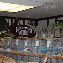 IMG_5771