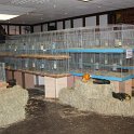 IMG_5864