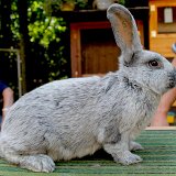 IMG_8389