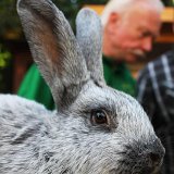IMG_8393