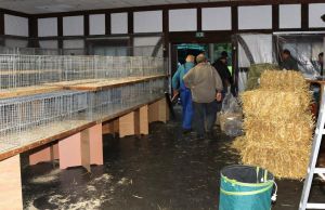 IMG 0997 (1)