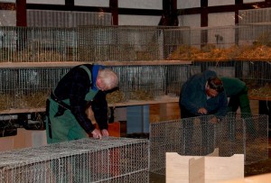 IMG 8501